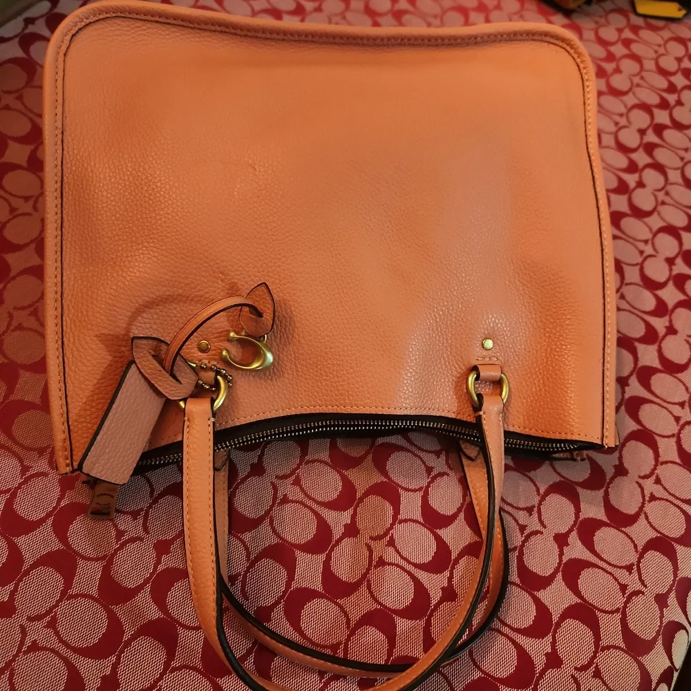 Coach Bodybag - Picture 1 of 6